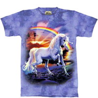 ������������ ����������� �� ��������� ��� ����� � �������� (Unicorn T-Shirts - Rainbow Unicorn Youth SS Tee)