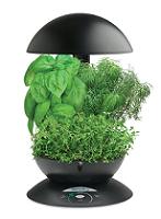  3       (). (AeroGarden 3 with Gourmet Herb Seed Kit (Black).)