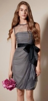 -   . (Bobbin Net Dress with Illusion Neckline)